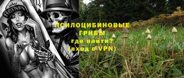 прущие грибы Алексин