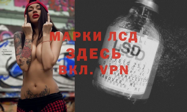 прущие грибы Алексин